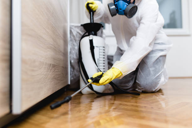 Best Flea Control Services  in Osseo, MN