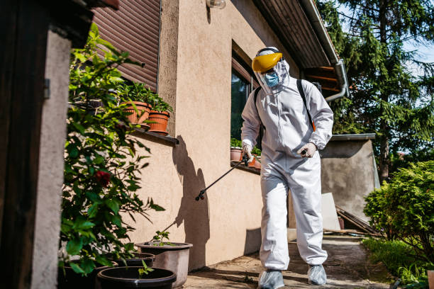 Best Bed Bug Extermination  in Osseo, MN